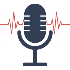 Система записи телефонных переговоров ФЛАТ ЗАПИСЬ